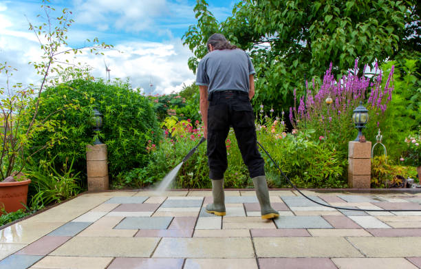 Best Driveway Pressure Washing  in Edwards Af, CA